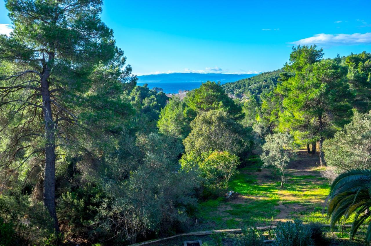 Forest Resort Suites Skiathos Трулос Екстер'єр фото