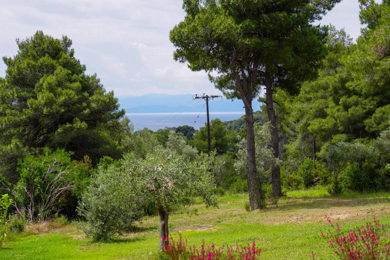 Forest Resort Suites Skiathos Трулос Екстер'єр фото